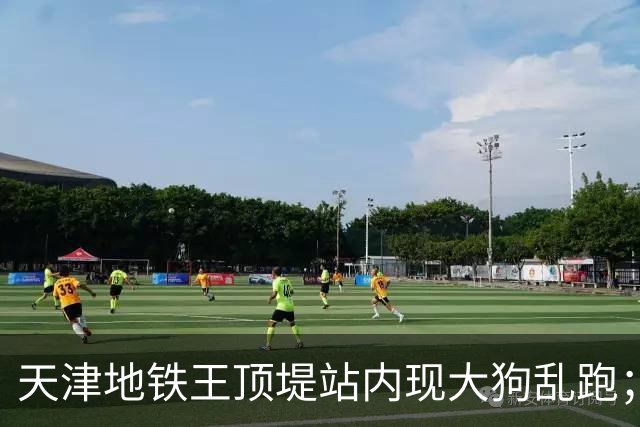 天津地铁王顶堤站内现大狗乱跑；地铁回应：应该是流浪狗；乘客疑惑：它咋过的安检？