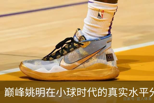巅峰姚明在小球时代的真实水平分析
