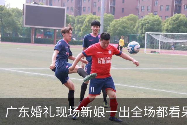 广东婚礼现场新娘一出全场都看呆了撞脸刘亦菲这气质真的一眼沦陷
