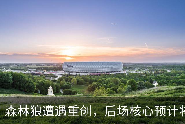 森林狼遭遇重创，后场核心预计将缺席两个月的时间？