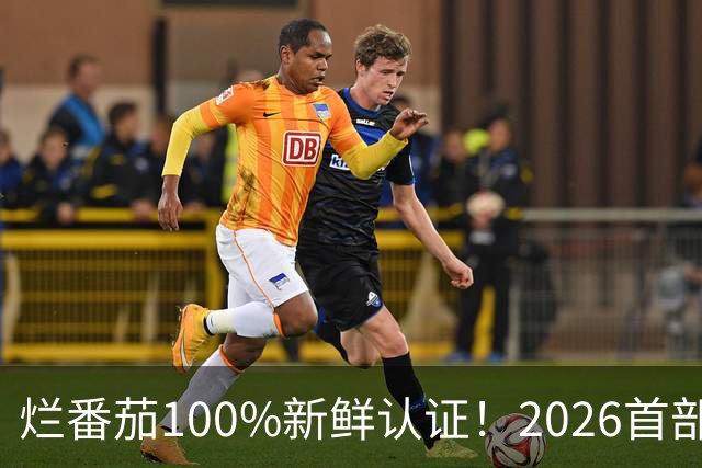 烂番茄100%新鲜认证！2026首部