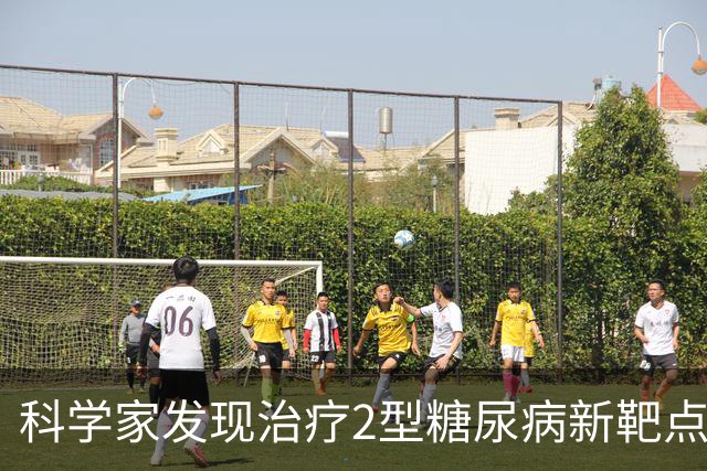 科学家发现治疗2型糖尿病新靶点，找到胰岛素抵抗关键影响因素