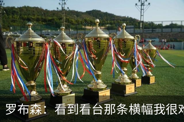 罗布森：看到看台那条横幅我很难过，我从不需要被提醒标准