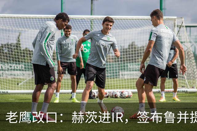 老鹰改口：赫茨进IR，签布鲁并提拔两人