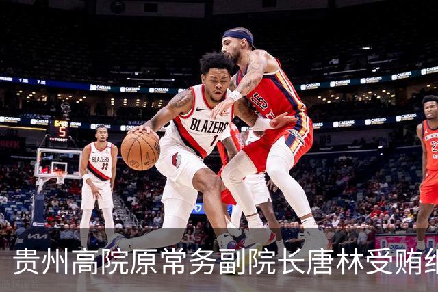 贵州高院原常务副院长唐林受贿细节曝光：一份“电冰箱市场调查报告”值330万