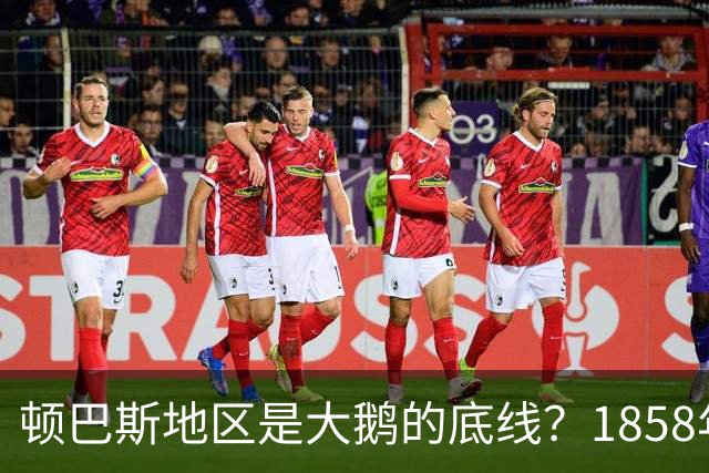 顿巴斯地区是大鹅的底线？1858年，沙俄的底线是黑龙江以北60万平方公里