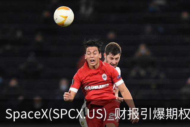 SpaceX(SPCX.US) 财报引爆期权市场，市值波动或超千亿美元
